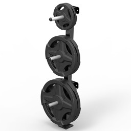 Zeige Details für Wandhalter für Hantelscheiben - Plate Tree - Wall 30 mm Bild von Wandhalter für Hantelscheiben - Plate Tree - Wall 30 mm