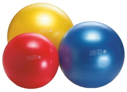 Zeige Produkte für Kategorie GYMNIC CLASSIC PLUS Bild für Kategorie GYMNIC CLASSIC PLUS