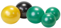 Zeige Produkte für Kategorie GYMNIC PLUS Bild für Kategorie GYMNIC PLUS