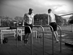 Bild für Kategorie JK CALISTHENICS OUTDOOR-PARKS