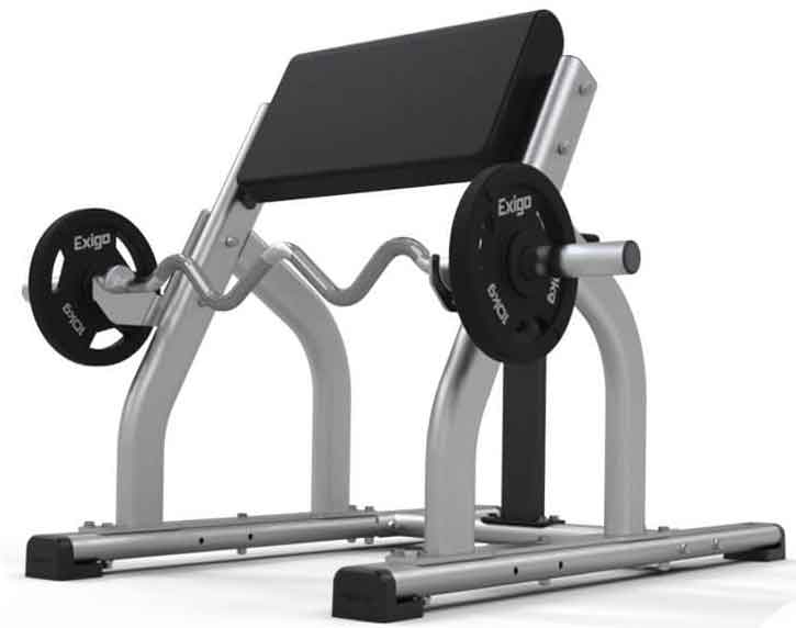 Bild von Exigo Seated Preacher Curl Bench Model 2018