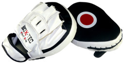 Zeige Details für BOX-TEC Fight Gear Focus-Pads Bild von BOX-TEC Fight Gear Focus-Pads
