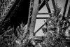 Bild von Brücke 0042 Bild auf Fotoleinwand - 120 x 80 cm - Holzkeilrahmen 