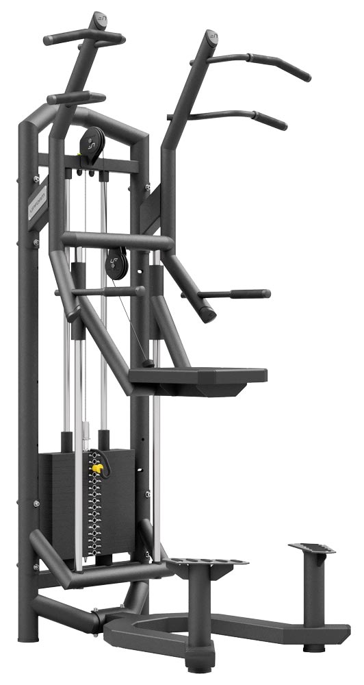 Picture of UpForm F-line - Assisted Chin / Dip Station