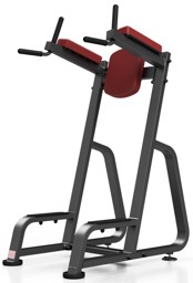 Zeige Details für MARBO SPORT MP-U202 2.0 - Dip-Bauchtrainer Station Bild von MARBO SPORT MP-U202 2.0 - Dip-Bauchtrainer Station