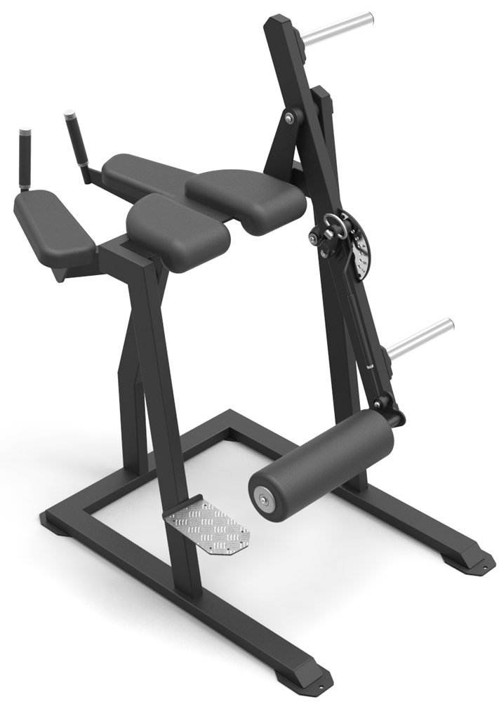 Bild von PROUD Champion Reverse Hyperextension Machine