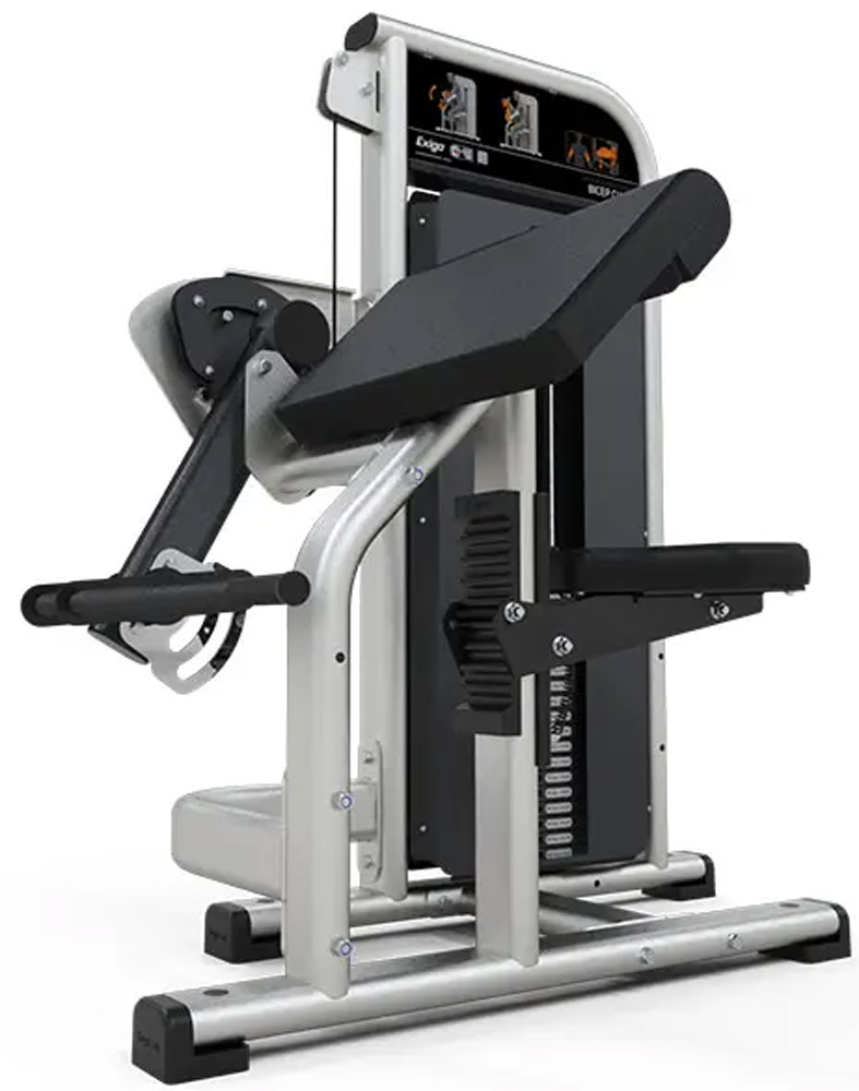 Bild von Exigo Bicep Curl
