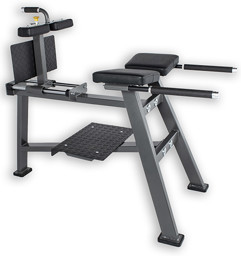 Zeige Details für O'Live GHD Glute Ham Developer Pro Series  Bild von O'Live GHD Glute Ham Developer Pro Series