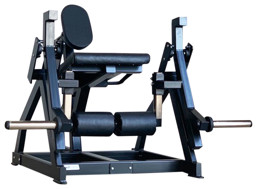 Zeige Produkte für Kategorie WATSON GYM PLATELOADED Bild für Kategorie WATSON GYM PLATELOADED