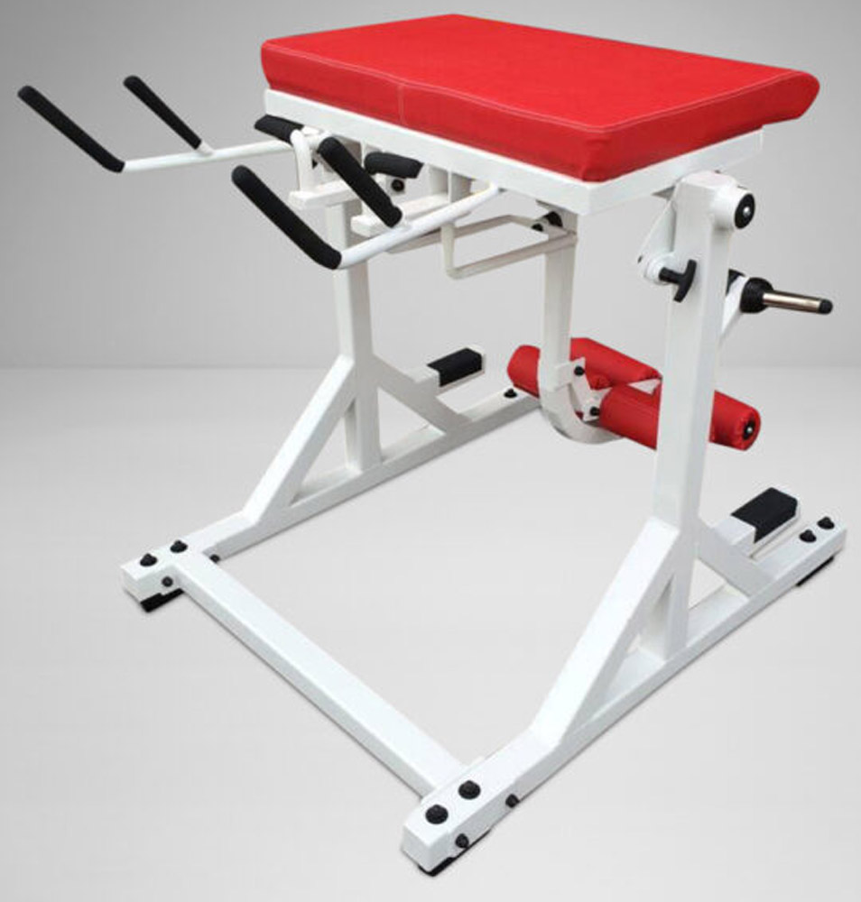 Picture of Watson Westside Reverse Hyper with Bent Pendulum - Plate Loaded