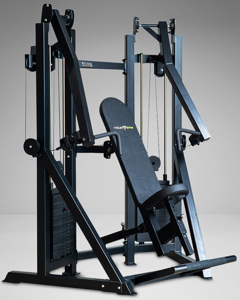 Picture of Watson Animal Dual Stack Chest Press