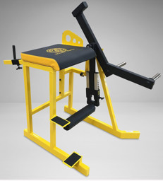 Zeige Details für Watson Deluxe Reverse Hyper Extension - Plate Loaded Bild von Watson Deluxe Reverse Hyper Extension - Plate Loaded