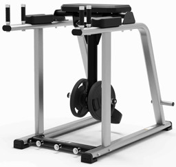 Zeige Details für Exigo Reverse Hyper Extension Bild von Exigo Reverse Hyper Extension